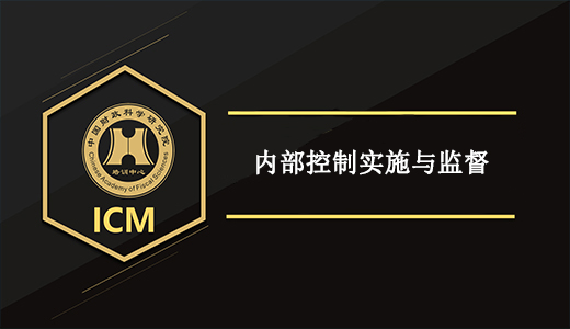 内部控制实施与监督